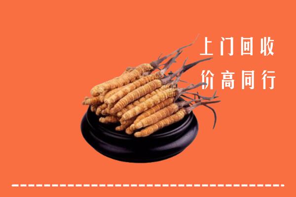 附近收购：三亚市冬虫夏草回收多少钱每克
